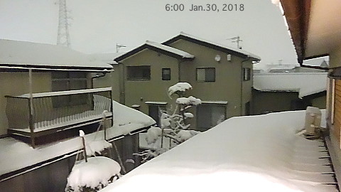 SnowingScene 180130-0600.jpg