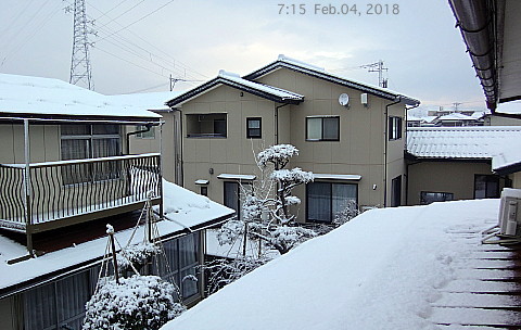 SnowingScene 180204-0715.jpg