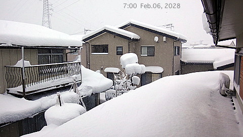 SnowingScene 180206-0700.jpg