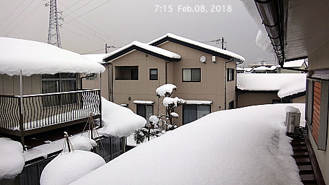 SnowingScene 180208-0715.jpg