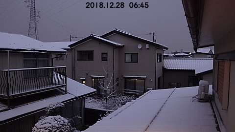SnowingScene 181228-0645.jpg