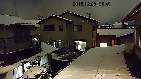 SnowingScene 181228-2145.jpg