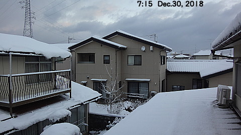SnowingScene 181230-0715.jpg