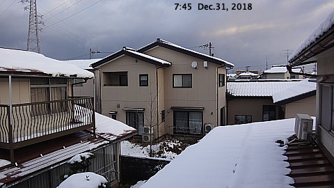 SnowingScene 181231-0745.jpg