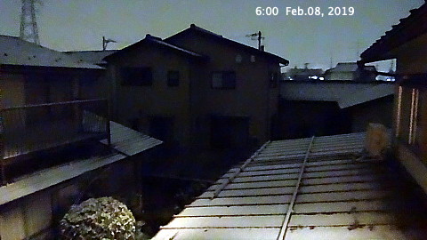 SnowingScene 190208-0600.jpg