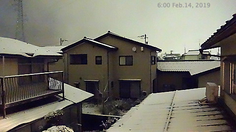 SnowingScene 190214-0600.jpg