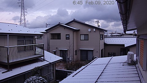 SnowingScene 200209-0645.jpg