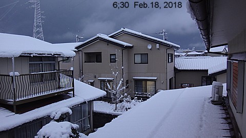 SnowingScene 200218-0630.jpg