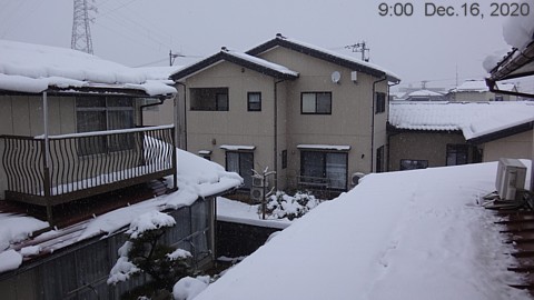 SnowingScene 201216-0900.jpg