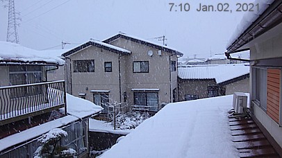 SnowingScene 210102-0710.jpg