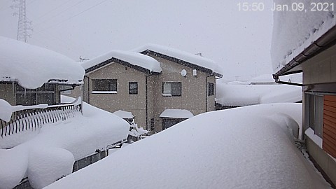 SnowingScene 210109-1550.jpg