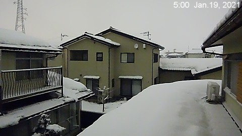 SnowingScene 210119-0500.jpg