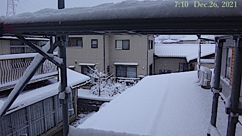 SnowingScene 211226-0710.jpg