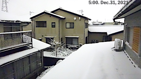 SnowingScene 211231-0500.JPG
