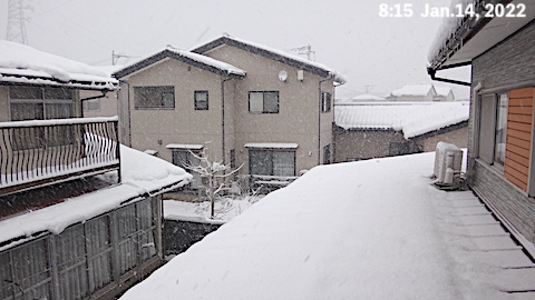 SnowingScene 220114-0815.JPG