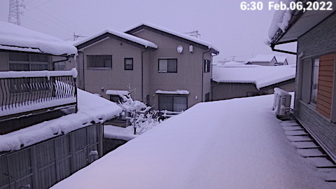 SnowingScene 220206-0630.JPG