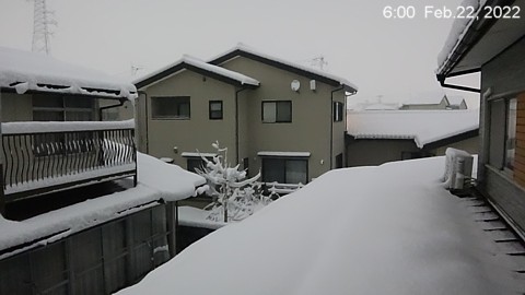 SnowingScene 220222-0600.jpg