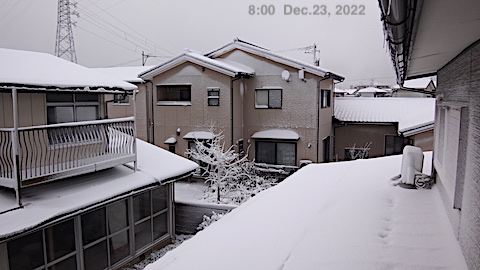 SnowingScene 221223-0800.JPG