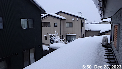 SnowingScene 231223-0650.jpg
