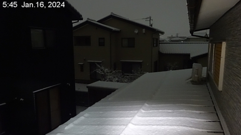 SnowingScene 240116-0545.jpg