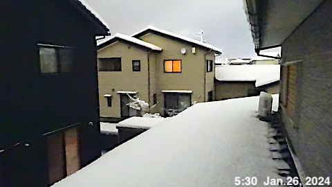 SnowingScene 240126-0530.jpg