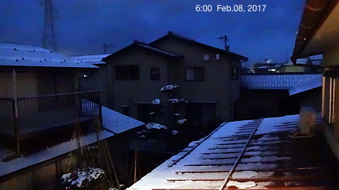 SnowingScne 170208-0600.jpg