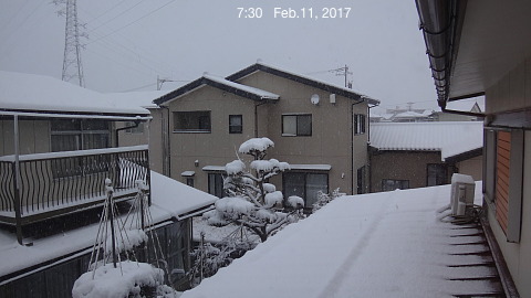 SnowingScne 170211-0730.jpg