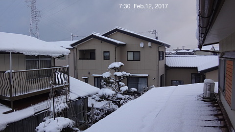 SnowingScne 170212-0730.jpg