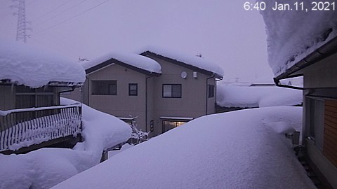 SnowingScene 210111-0640.jpg