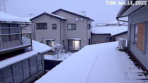 SnowingScene 220113-0600.JPG