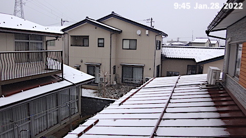 SnowingScene 220128-0945.JPG