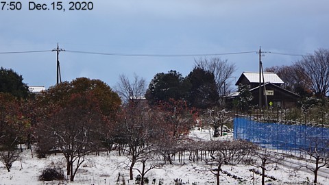 snowingscene 201215-0750.jpg